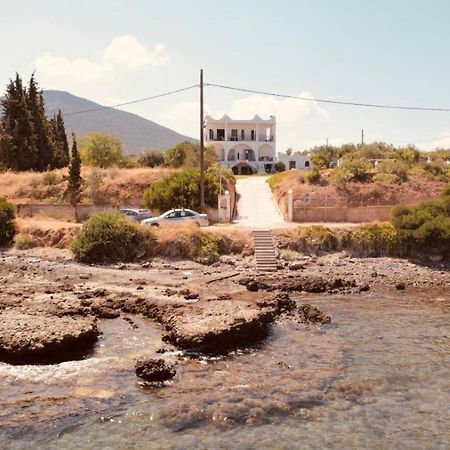 Apartament Magic House At Halkida 1M From The Beach! Chalkís Zewnętrze zdjęcie
